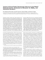 Research paper thumbnail of Control of dorsal raphe serotonergic neurons by the medial prefrontal cortex: involvement of serotonin-1A, GABA-A, and glutamate receptors