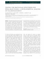 Research paper thumbnail of Testing the Protozoan hypothesis for Ediacaran fossils: a developmental analysis of Palaeopascichnus.