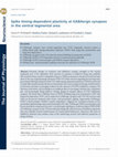 Research paper thumbnail of Spike timing-dependent plasticity at GABAergic synapses in the ventral tegmental area