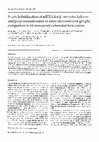 Research paper thumbnail of In situ hybridization of mRNA for β-preprotachykinin and preprosomatostatin in adult rat dorsal root ganglia: comparison with immunocytochemical localization