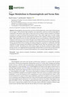 Research paper thumbnail of Sugar Metabolism in Hummingbirds and Nectar Bats