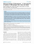 Research paper thumbnail of Molecular Etiology of Atherogenesis – In Vitro Induction of Lipidosis in Macrophages with a New LDL Model