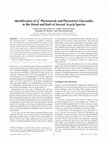 Research paper thumbnail of Identification of Δ 7 Phytosterols and Phytosteryl Glucosides in the Wood and Bark of Several Acacia Species