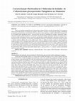 Research paper thumbnail of Morphocultural and molecular characterization of Colletotrichum gloeosporioides isolates pathogenic to papaya