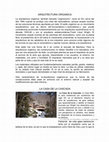 Research paper thumbnail of ARQUITECTURA ORGANICA