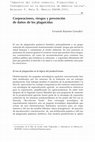 Research paper thumbnail of Corporaciones, riesgos y prevención de daños de los plaguicidas