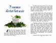 Research paper thumbnail of Tanaman Herbal Indonesia