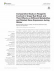 Research paper thumbnail of Comparative Study on Reagents Involved in Grape Bud Break and Their Effects on Different Metabolites and Related Gene Expression during Winter