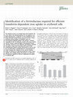 Research paper thumbnail of Identification of a ferrireductase required for efficient transferrin-dependent iron uptake in erythroid cells