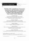 Research paper thumbnail of The Role of the Accipitriformes Geranoaetus melanoleucus and Geranoaetus polyosoma as Small Mammal Bones Accumulators in Modern and Archaeological Sites from Central Western Argentina