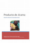 Research paper thumbnail of PRODUCTO DESHIDRATADO DE JICAMA