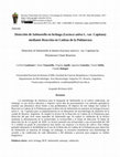 Research paper thumbnail of Detección de Salmonella en lechuga (Lactuca sativa L. var. Capitata) mediante Reacción en Cadena de la Polimerasa