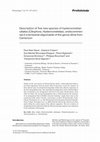 Research paper thumbnail of Description of five new species of hysterocinetian ciliates (Ciliophora, Hysterocinetidae), endocommen- sal in a terrestrial oligochaete of the genus Alma from Cameroon