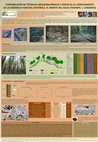 Research paper thumbnail of CONTRIBUCIÓN DE TÉCNICAS ARQUEOBOTÁNICAS Y EDÁFICAS AL CONOCIMIENTO DE LA DINÁMICA FORESTAL HISTÓRICA. EL MONTE DEL AGUA (TENERIFE. I. CANARIAS