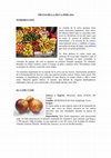 Research paper thumbnail of FRUTAS DE LA SELVA PERUANA