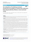 Research paper thumbnail of An evaluation of multidrug-resistant Escherichia coli isolates in urinary tract infections from Aguascalientes, Mexico: cross‐sectional study