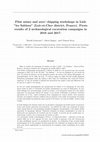 Research paper thumbnail of Flint mines and axes' chipping workshops in Lisle " les Sablons " (Loir-et-Cher, France). Firsts results of 2 archaeological excavation campaigns in 2016 and 2017