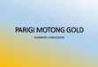 Research paper thumbnail of PARIGI MOTONG GOLD SUMMARY CONCESSION