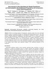 Research paper thumbnail of Biocomposite of Ultra-High Molecular Weight Polyethylene and Hydroxyapatite with Antibacterial Properties by the Incorporation of Zinc Oxide Nanoparticles