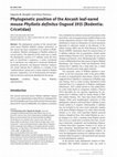 Research paper thumbnail of RENGIFO & PACHECO 2018. Phylogenetic position of Phyllotis definitus Osgood 1915 Rodentia Cricetidae