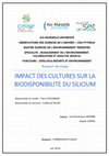 Research paper thumbnail of Rapport de stage