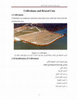 Research paper thumbnail of Cofferdams and Braced Cuts