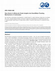 Research paper thumbnail of New Atomic to Molecular Scale Insights into SmartWater Flooding Mechanisms in Carbonates