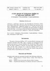 Research paper thumbnail of 2014_Schöller-Achaenops_Mitt 39_51-59.pdf