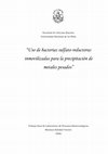 Research paper thumbnail of Documento completo DE SBR.pdf