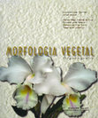 Research paper thumbnail of Livro - Morfologia Vegetal Organografia