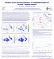 Research paper thumbnail of Floating macro and microplastics in the Mediterranean Sea Is there a spatial overlap?