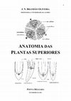 Research paper thumbnail of J. N. BRANDÃO OLIVEIRA PROFESSOR DA UNIVERSIDADE DOS AÇORES ANATOMIA DAS PLANTAS SUPERIORES PONTA DELGADA FEVEREIRO DE 2011