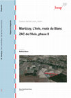 Research paper thumbnail of Martizay, l'Avis, route du Blanc, ZAC de l'Avis phase II, Indre, Centre - Val de Loire