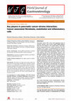 Research paper thumbnail of Key players in pancreatic cancer-stroma interaction: cancer-associated fibroblasts, endothelial and inflammatory cells TOPIC HIGHLIGHT