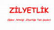 Research paper thumbnail of ZİLYETLİK