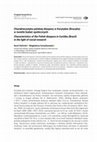 Research paper thumbnail of Charakterystyka polskiej diaspory w Kurytybie (Brazylia) w świetle badań społecznych Characteristics of the Polish diaspora in Curitiba (Brazil) in the light of social research