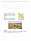 Research paper thumbnail of Tapeh Mes: a possible Middle Palaeolithic site in the Delijan Plain, central Iran