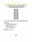 Research paper thumbnail of QUÍMICA ORGÁNICA Reconocimiento de Elementos Organógenos