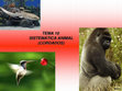 Research paper thumbnail of TEMA 10 SISTEMÁTICA ANIMAL (CORDADOS