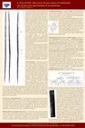 Research paper thumbnail of V. Brizzi, A. Pedrotti, C. Loi. Looking for an experimental frame of reference for the Otzi’s bow - L’Arco di Ötzi: alla ricerca di una cornice di riferimento per un processo sperimentale di ricostruzione