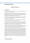 Research paper thumbnail of Decolonial Subversions: Guidelines for Contributors