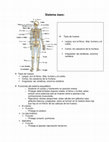 Research paper thumbnail of SISTEMA OSEO - Osseous System