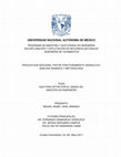 Research paper thumbnail of Tesis: ANALISIS DINAMICO Y METODOLOGIA PARA LA PRODUCCION ADICIONAL POR RE-FRACTURAMIENTO HIDRAULICO