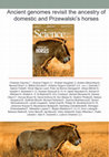 Research paper thumbnail of Ancient genomes revisit the ancestry of domestic and Przewalski's horses