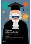 Research paper thumbnail of Il diritto nella pandemia Temi, problemi, domande a cura di Ermanno Calzolaio, Massimo Meccarelli, Stefano Pollastrelli, Macerata EUM, 2020