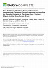 Research paper thumbnail of New Sightings of Northern Muriqui ( Brachyteles hypoxanthus ) Females in Forest Fragments Surrounding the Estação Biológica de Caratinga-Rppn Feliciano Miguel Abdala, Minas Gerais, Brasil