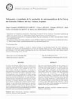 Research paper thumbnail of Tafonomía y cronología de la asociación de micromamíferos de la Cueva del Estrecho (Villares del Saz, Cuenca, España