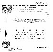 Research paper thumbnail of EL PROCESO DE INSTITUCIONALIZACIÓN ORGANIZATIVA DEL PARTIDO ACCIÓN NACIONAL (1984-1995)