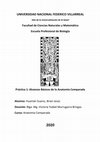 Research paper thumbnail of Alcances Básicos de la Anatomía Comparada y Disección de Pez