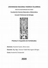 Research paper thumbnail of Esqueleto de Vertebrados